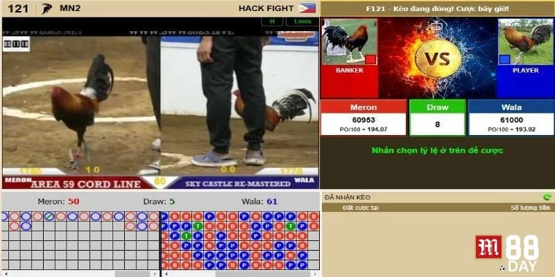 Những ưu điểm vượt trội của hình thức cược đá gà Thomo online tại M88.